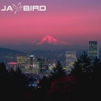 Calling_Jay Bird