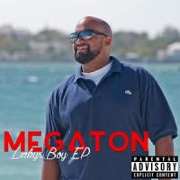 Waste a Minute (feat. Roger)_Megaton,Roger