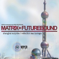 Reflection_Matrix & Futurebound,Cat Knight
