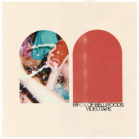 Videotape_Birds of Bellwoods
