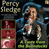 A Whiter Shade of Pale_Percy Sledge,LEILAH SAFKA