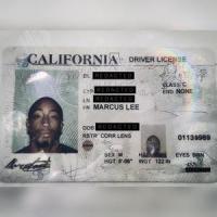 Seventeen_Marcus Lee