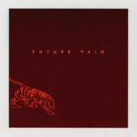 Future Pain_Vanessa Carlton
