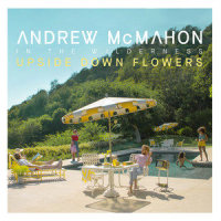 Teenage Rockstars_Andrew McMahon in the Wilderness