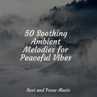 Misty Flowers_Sleepy Times,Study Concentration,Mindfulness Meditation World