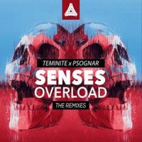 Senses Overload_Teminite,PsoGnar,DJBHS,Tál László Zsolt,EH!DE,Skyloud