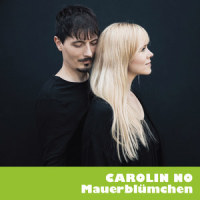 Mauerblümchen_Carolin No