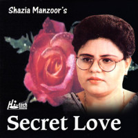Love Letter_Shazia Manzoor