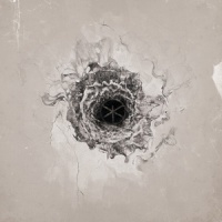 Clôture_Tess
