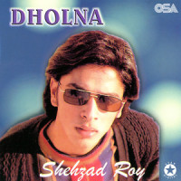 Mahjabeen_Shehzad Roy