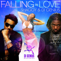 Falling in Love_Shaggy,Di Genius