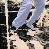 Fever Dream_Sunnbrella