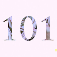 Love Affairs_Summer Heart