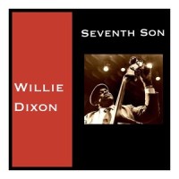 I Got My Eyes on You_Willie Dixon,Buddy Guy