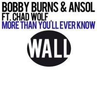More Than You'll Ever Know(feat. Chad Wolf)_ANSOL,Chad Wolf,Bobby Burns