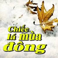 Triệu Đóa Hoa Hồng_Minh Tuyết,Cẩm Ly