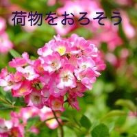 荷物をおろそう_初音未来