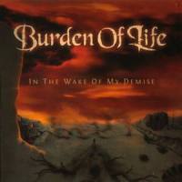 In The Wake Of My Demise_Burden of Life