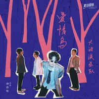 爱情鸟_大波浪