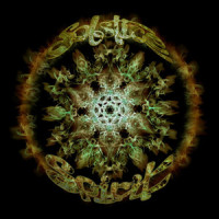 Here & Now_Solstice