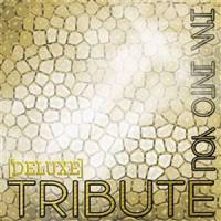 I'm Into You_The Singles,Lil Wayne Tribute
