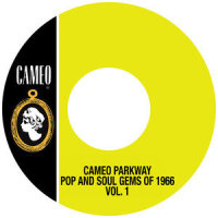 Wait (Please Don't Walk Away)_The Mob