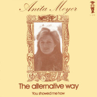 You Showed Me How_Anita Meyer