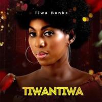 Stop The Violence(feat. Diamond face,Tesleem,Anis,Da Unit & Snow)_Tiwa Banks,BANKOLE TEMITOPE MAUREEN,Diamond Face,Tesleem,Anis,Da Unit,Snow