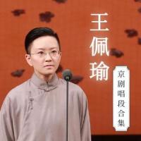 《但愿人长久》王珮瑜 洛天依_王珮瑜
