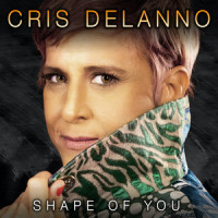 Shape of You_Cris Delanno,John McDaid,Steve Mac,Edward Christopher Sheeran,Kandi Burruss,Kevin Jerome Briggs,Tameka Cottle