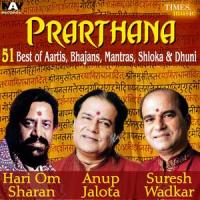 Barsane Wali Radhe_Anup Jalota