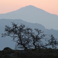 Come To Your Senses_Mairi Campbell,Davy Clincart