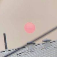 sunset_deadman 死人,Noah Murphy
