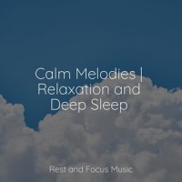 Stardust Wonders_Echoes of Nature,The Relaxation Principle,Pink Noise