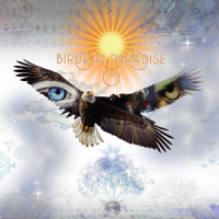 Love Surrounds You_Bird Tribe,Miranda Rondeau