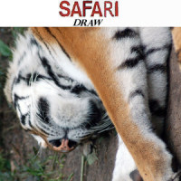 Spoken_Safari