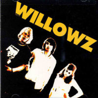 I Wonder_The Willowz