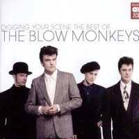Celebrate_Curtis Mayfield,The Blow Monkeys