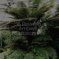 For Your Mind Only_Academia de Música con Sonidos de la Naturaleza,Deep Sleep,Guided Meditation Music Zone