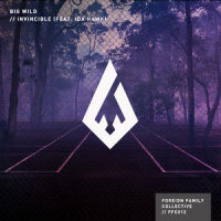 Invincible_Big Wild,iDA HAWK