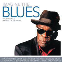 T-Bone Blues Special_T-Bone Walker,Brownie McGhee
