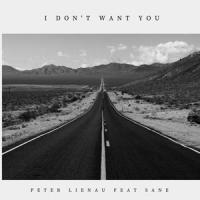 I don't want you(feat. Sane)_Peter Lienau,Sane