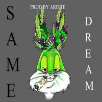 Same Dream_Ariete