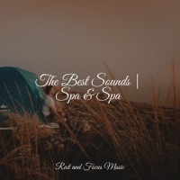 Life in the Tropics_Kings of Nature,Spa,Baby Sleep Music