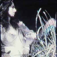 TurningDownTheSaturationOfTheSky_Bones