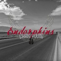 Quite the Salesman_Chris Young