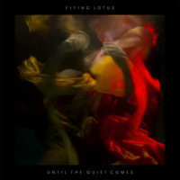 Tiny Tortures_Flying Lotus