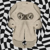 Sacred State Of Mind_Tom Jordan