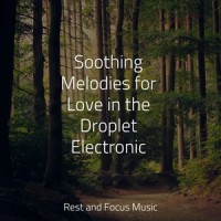 The Greatest Sunrise_Spa,Mindfulness Mediation World,Sleep Waves