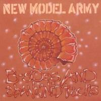 Courage_New Model Army